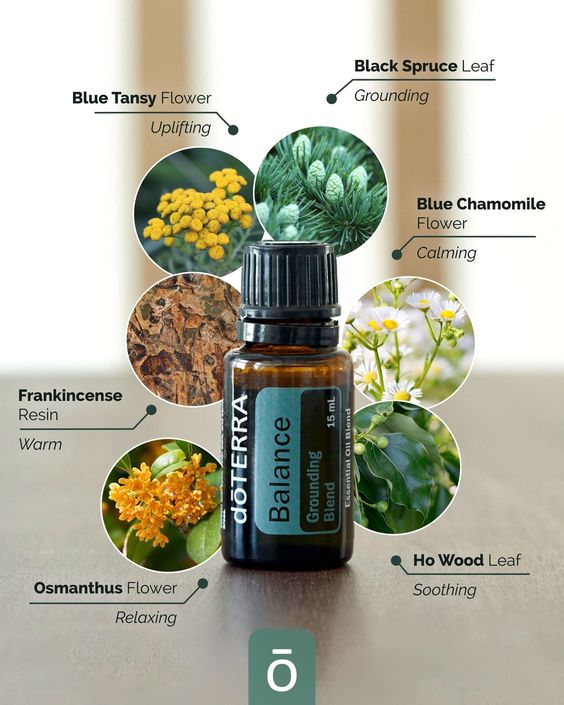 Screen Shot 2017 09 11 at 5.46.16 PM 1024x1024